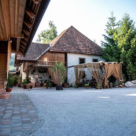 Resort Hisa Ida - Apartments With Hot Tub And Sauna Ivancna Gorica Εξωτερικό φωτογραφία